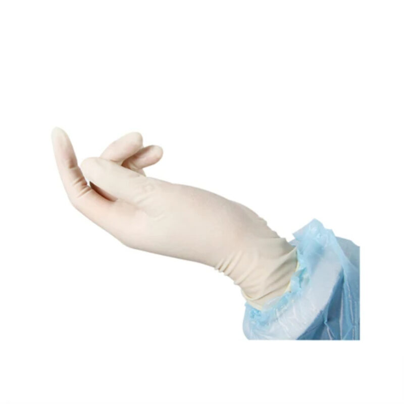 Latex Surgical Gloves