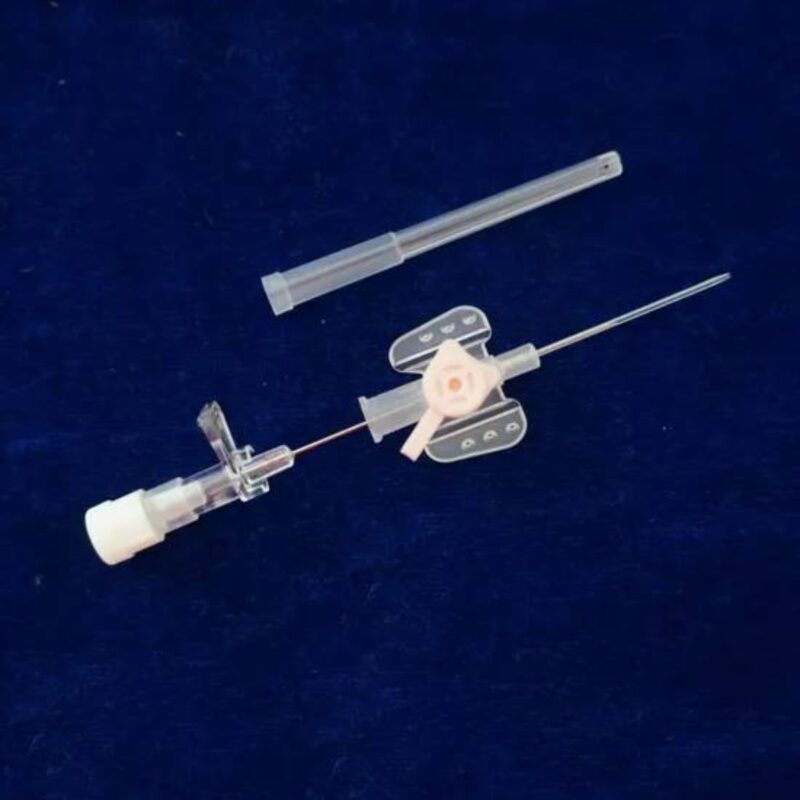 Cannula with Butterfly Needles